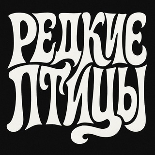 редкие птицы