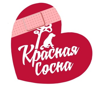 Помощь приюту «Красная Сосна»