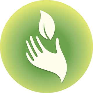 ReGreen • Политех