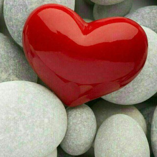 ریکت