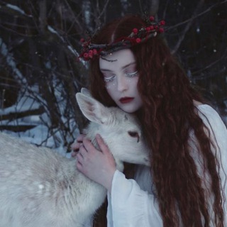 ReindeerPh 📷