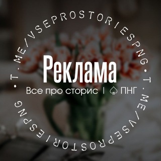 Сотрудничество на канале ВСЕ ПРО СТОРИС•ПНГ