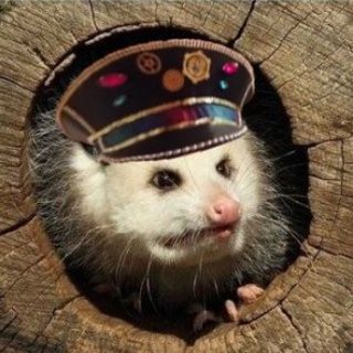 Даня орёт