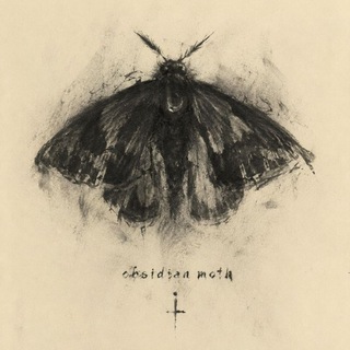 Obsidianmoth🦋