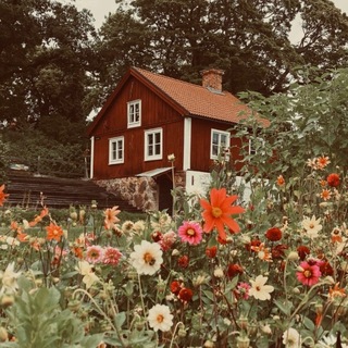 RIESVELD.