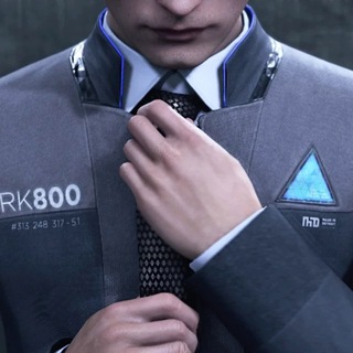 ۶ RK800 : daily
