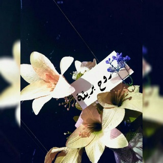 ڔوح ﺑــريئـﮩﮪ