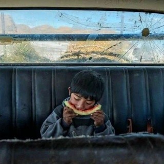 إبراهيم المنوفي