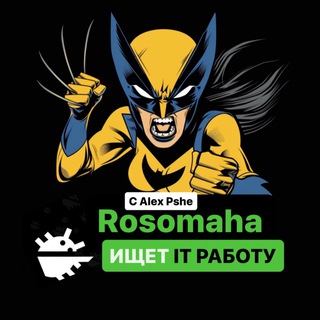 Rosomaha ищет IT работу