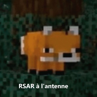 RSAR à l'antenne
