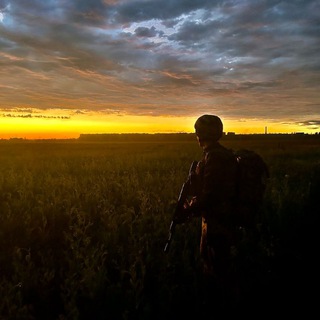 Рудий ліс