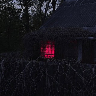 Николай Рындин