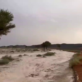 شموخ بدوووي ❤️