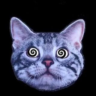 ᥴαљⲃ ⲙαᥱρ𐔖ρ