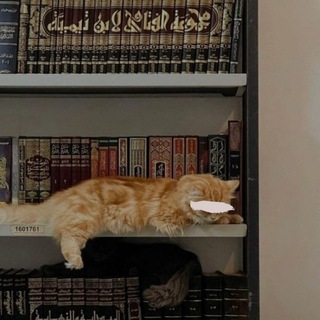 صَبيـبُ العِلـم| 📚.