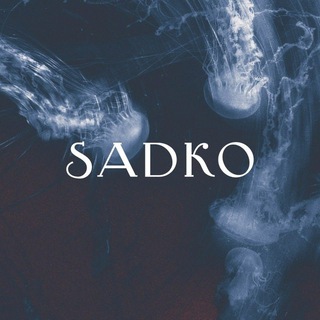 САДКО | Красноярск