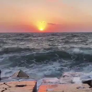 🌻سعادتي وراحة قلبي🌻