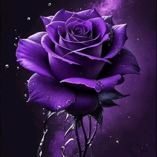 💜مملكه البنفسج💜