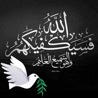 الاستشفاء بالطب النبوى