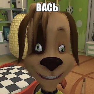 sa1ntyy | CEO