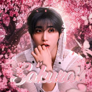 sakura's