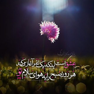 یادآوری سلام صبحگاهی امام زمان