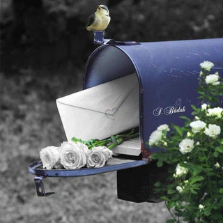رسائل عاشقة 💌