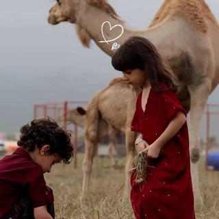 کبـريـاء رجـل وغـرور انـثـئ
