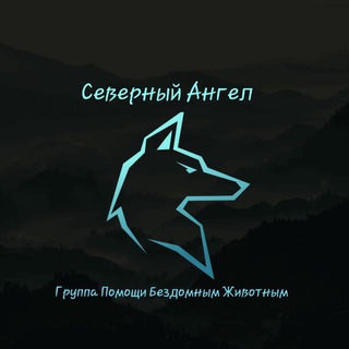 ГПБЖ «СЕВЕРНЫЙ АНГЕЛ» Дедовск