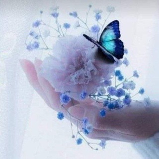ترانيم من القلب 🕊🕊