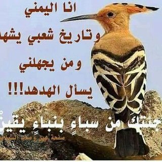 صباحيات