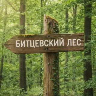 Сбереги Битцевский Лес!
