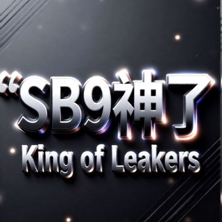 SB Leaks