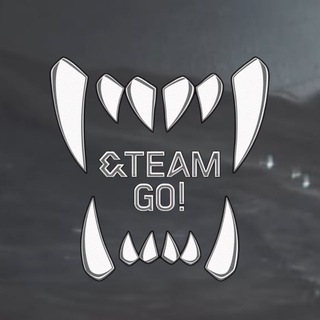 &team go! perm