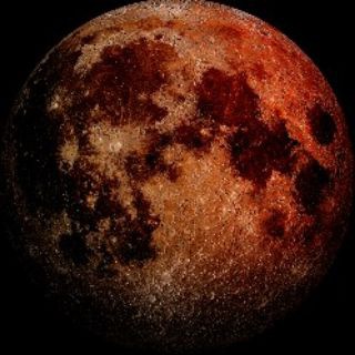 生物医学科技前线