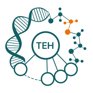Турнир естественных наук