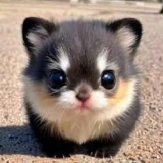 лайф спиртик