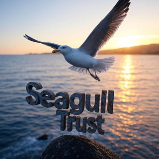 SEAGULL TRUST