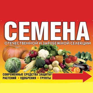 Магазин «СЕМЕНА» р.п. Средняя Ахтуба