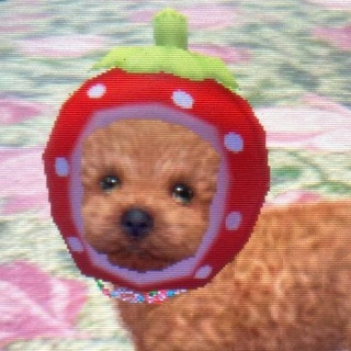 seripu ── ˙🍓 ̟ !!