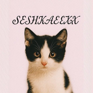 seshkaexx секонд хенд одежда Казань 👾👾👾