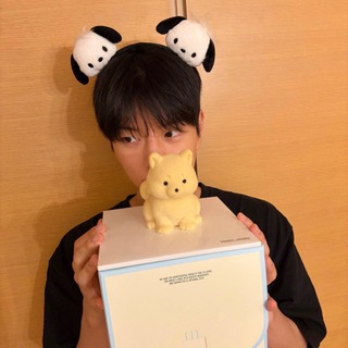 seungmin🐾