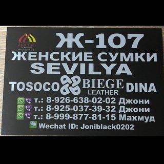 Ж-107 VERSELIA Сумки