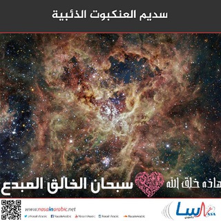 🎬الاعجاز العلمي في القران والسنه