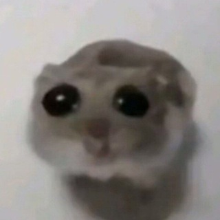 Шаблоны для локальных мемов