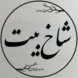 شاخ‌بیت