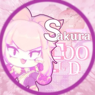 Sakura info🍥