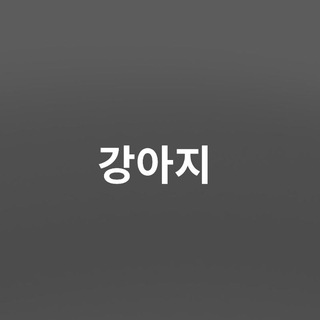 𝓼 . ㅤㅤ강아지 `