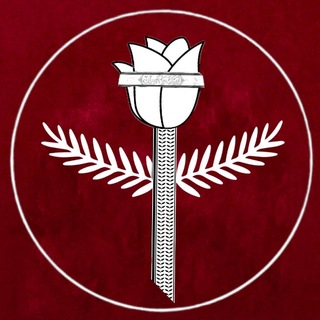 متجر شمران | Shamran store