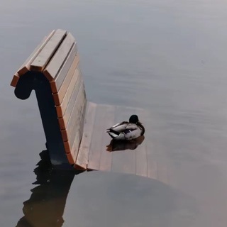 ɯᴋᴀɸ ɯᴀᴩᴧоᴛᴛы(ᴋᴀᴄᴨᴇᴩ)